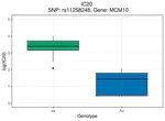 Individual differences in the response of human β-lymphoblastoid cells to the cytotoxic, mutagenic and DNA damaging effects of a DNA methylating agent, N-methylnitrosourethane