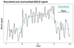 Fundamentals of Functional Magnetic Resonance Imaging Data